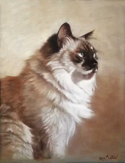 Portrait d'art au pastel sec en couleur réalisé à la main par Bertrand, artiste à Montmartre